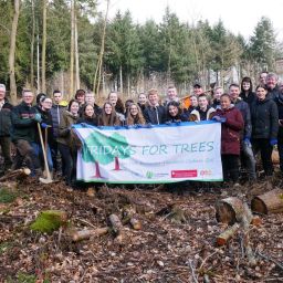 Wind und Wetter zum Trotz waren die Schülerinnen und Schüler der Realschule Plus Cochem einen ganzen Vormittag aktiv und brachten im Rahmen des Projektes FRIDAYS FOR TREES junge Bäume in die Erde.