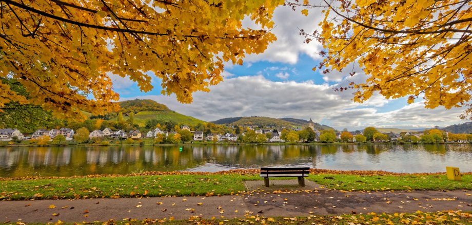 Blick von Alf auf Bullay über die Mosel