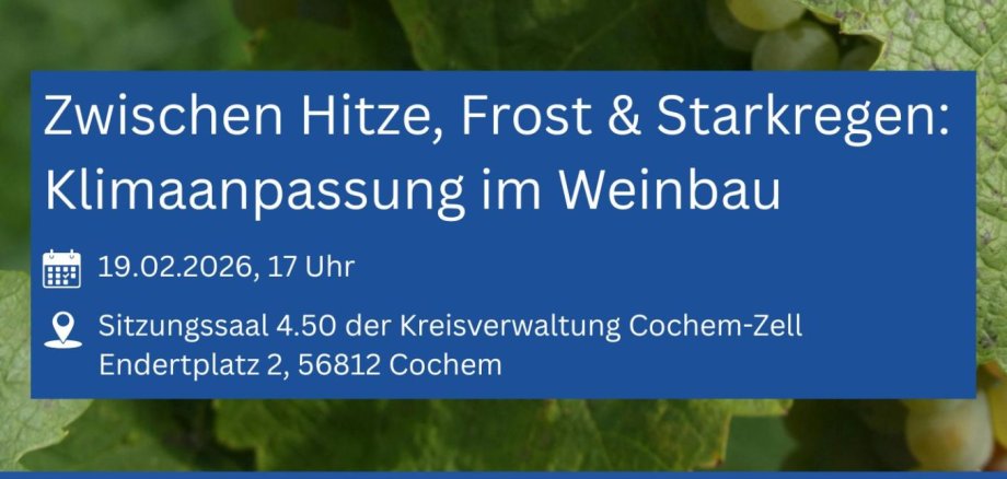 Einladung zur Veranstaltung Klimaanpassung im Weinbau Einladung zur Veranstaltung Klimaanpassung im Weinbau