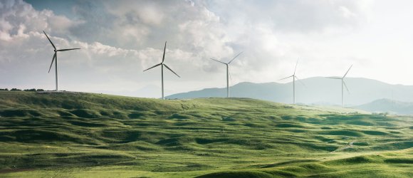 Hügelige, grüne Wiesen mit Windrädern im Hintergrund