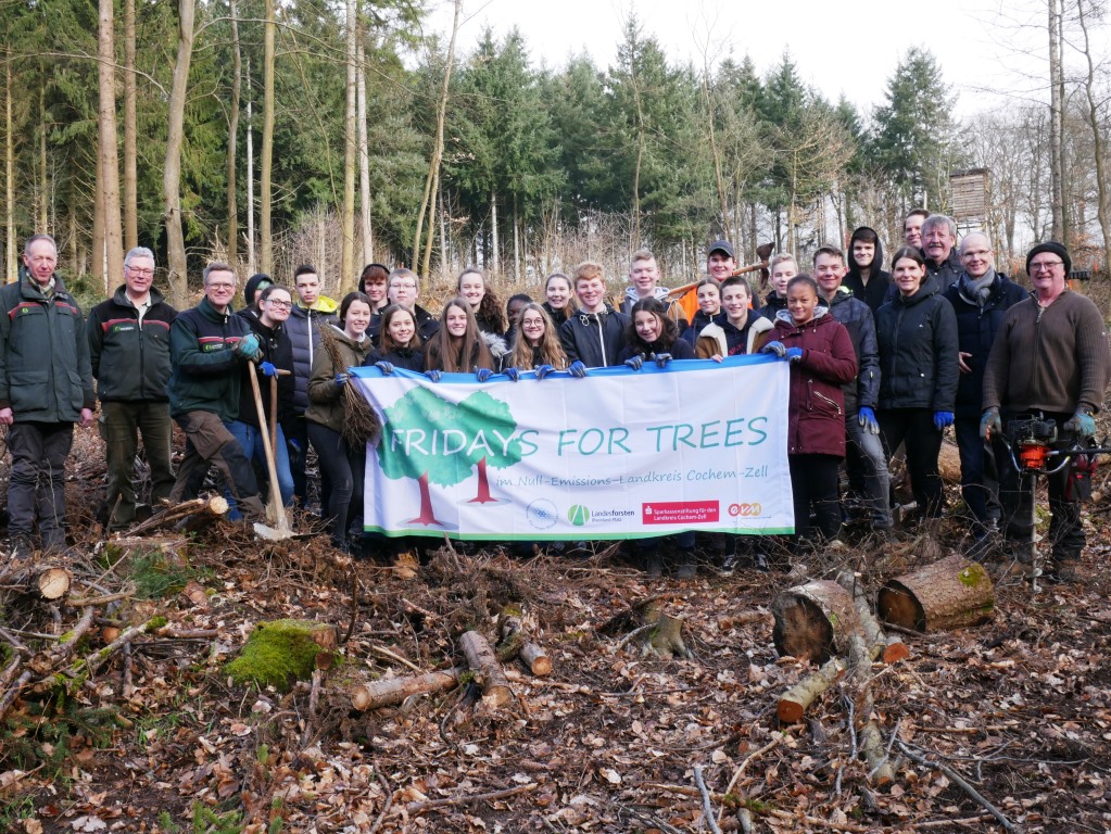 Wind und Wetter zum Trotz waren die Schülerinnen und Schüler der Realschule Plus Cochem einen ganzen Vormittag aktiv und brachten im Rahmen des Projektes FRIDAYS FOR TREES junge Bäume in die Erde.